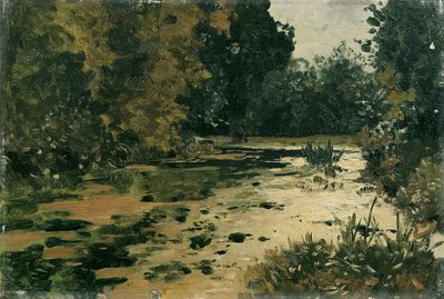 Bosvijver door Adolf Gustav Ditscheiner