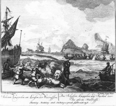 „Schieten, knuppelen en lansen der walrussen“ (nr. 9 uit de serie walvisvaart) door Adolf van der Laan