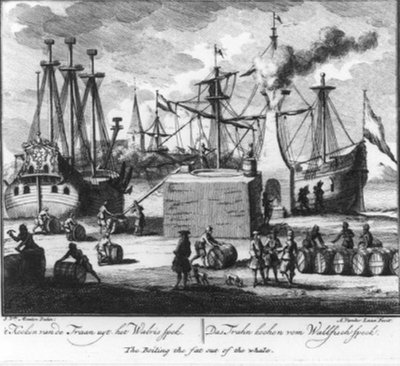  door Adolf van der Laan