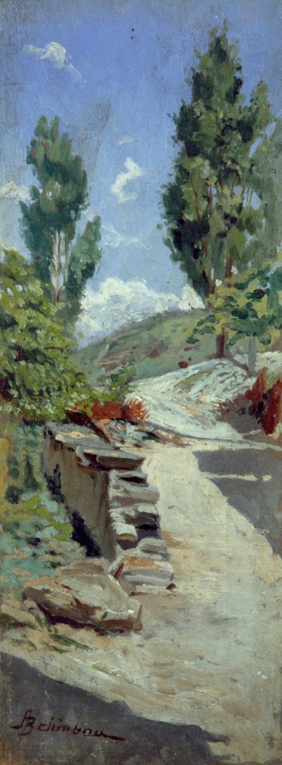 Weg in de heuvels door Adolfo Belimbau