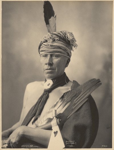 Mosteose (Heilig Konijn), Iowa door Adolph F. Muhr
