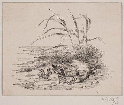 De gedode eend door Johan Adolph Kittendorff