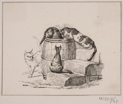 De katten door Johan Adolph Kittendorff