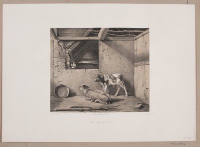 Twee kalveren door Johan Adolph Kittendorff