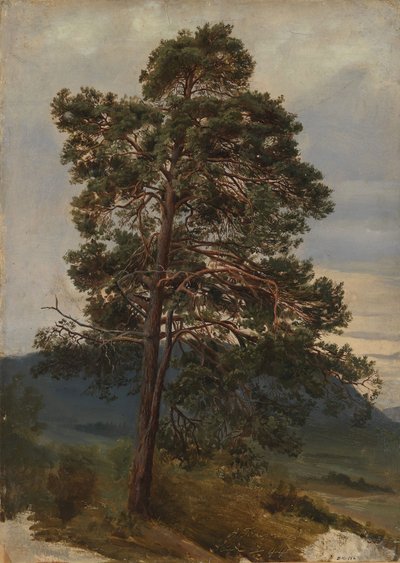  door Adolph Tidemand