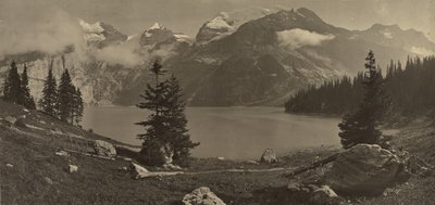 [Alpien landschap] door Adolphe Braun