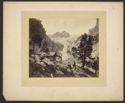 [Alpien uitzicht vanaf het Faulhorn] door Adolphe Braun
