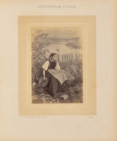 Kanton Schaffhausen door Adolphe Braun