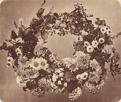  door Adolphe Braun
