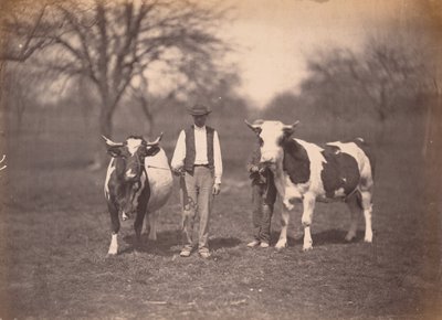 Landschap,c. 1864 (foto) door Adolphe Braun