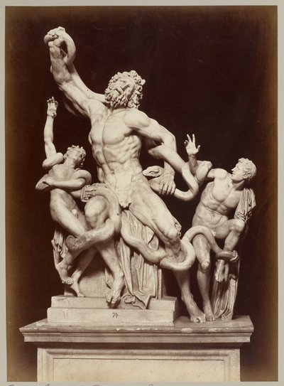 De Laocoön in het Vaticaanse Museum door Adolphe Braun