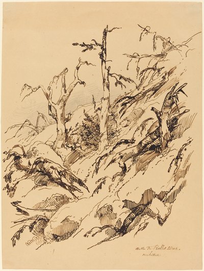 Een Rotsachtige Heuvel met Dode en Stervende Bomen door Adolphe Etienne Viollet Le Duc II