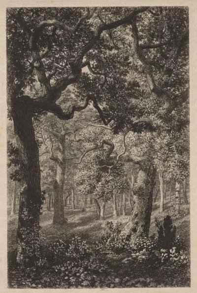 In het Bos door Adolphe Théodore Jules Martial Potémont