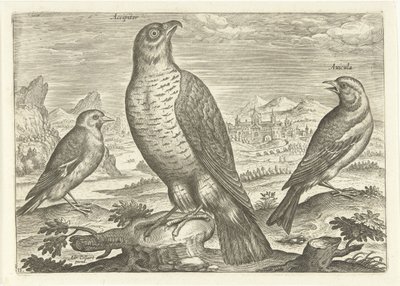 Drie vogels in een landschap door Adriaen Collaert