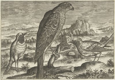 Enkele vogels in een landschap door Adriaen Collaert