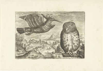 Enkele vogels in een landschap door Adriaen Collaert