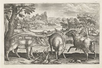Geit en zwijnen door Adriaen Collaert