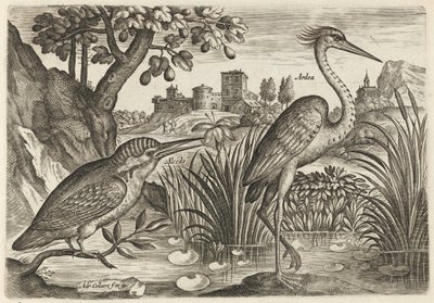  door Adriaen Collaert