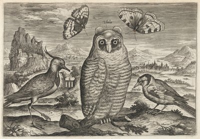  door Adriaen Collaert