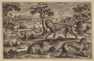  door Adriaen Collaert