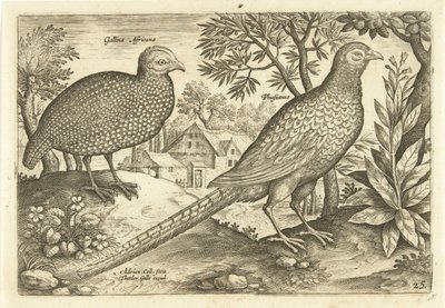Twee hoenders in een landschap door Adriaen Collaert