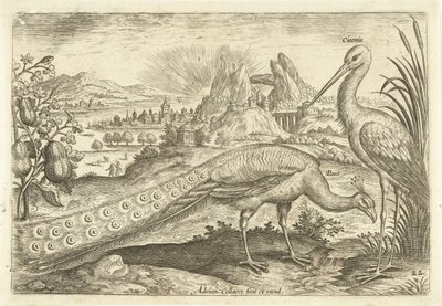 Twee vogels in een landschap door Adriaen Collaert