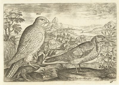 Twee vogels in een landschap door Adriaen Collaert