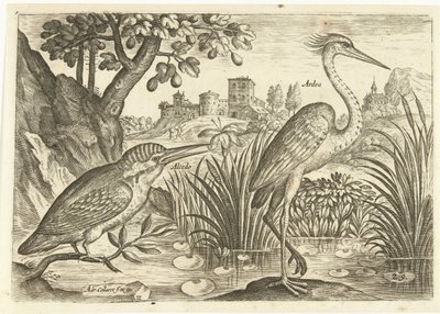 Twee vogels in een landschap door Adriaen Collaert