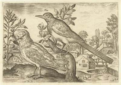 Twee vogels in een landschap door Adriaen Collaert