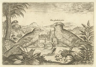 Twee vogels in een landschap door Adriaen Collaert