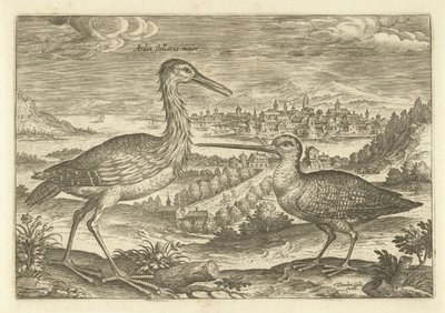 Twee vogels in een landschap door Adriaen Collaert