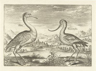 Twee waadvogels in een rivierlandschap door Adriaen Collaert