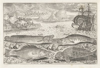 Vier vissen op het strand Vissen Piscivm vivae icones door Adriaen Collaert