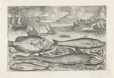 Vier vissen op het strand door Adriaen Collaert