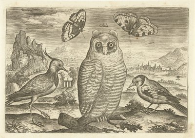 Vogels en vlinders in een landschap door Adriaen Collaert