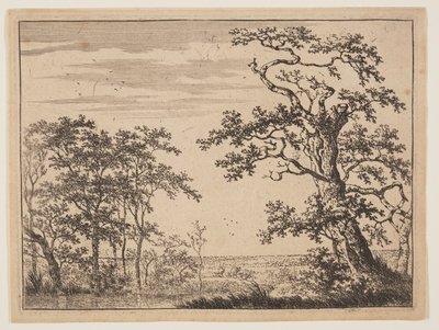 De vijver door Adriaen Hendricksz. Verboom