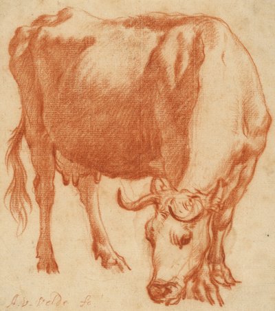 Eine Kuh beim Grasen door Adriaen van de Velde
