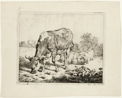Stier grazend en drie schapen door Adriaen van de Velde