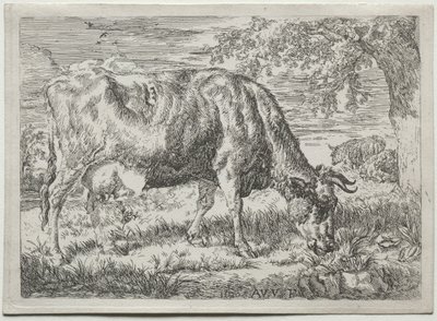 Koe en Twee Schapen aan de Voet van een Boom, 1670 door Adriaen van de Velde