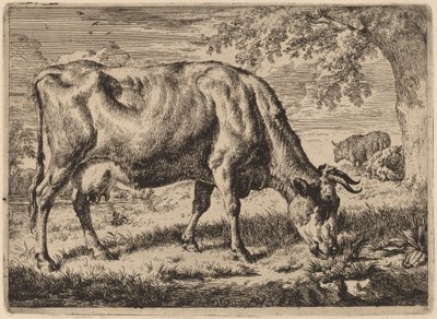 Grazende Koe met Twee Schapen door Adriaen van de Velde