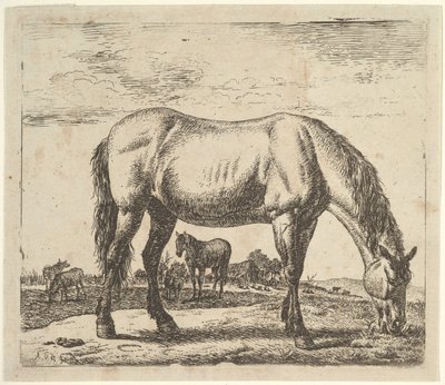 Grazend Paard, uit Verschillende Dieren door Adriaen van de Velde
