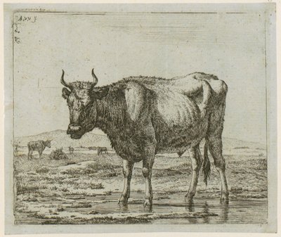  door Adriaen van de Velde