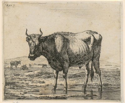 Stier in het water, blad 6 uit de serie „Verschillende dieren“ door Adriaen van de Velde