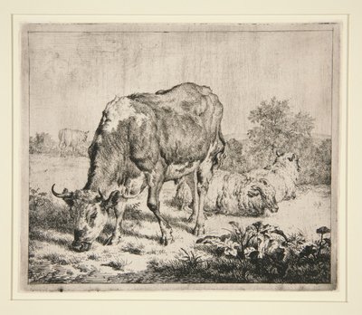 De bonte os en de drie schapen door Adriaen van de Velde
