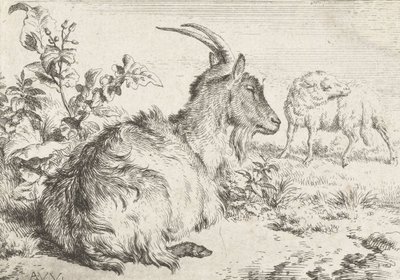 Liggende geit, 1670 door Adriaen van de Velde