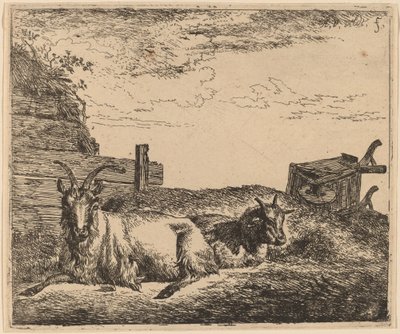 Liggende geiten door Adriaen van de Velde