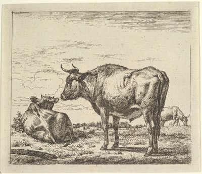 Staande stier, uit Verschillende dieren door Adriaen van de Velde