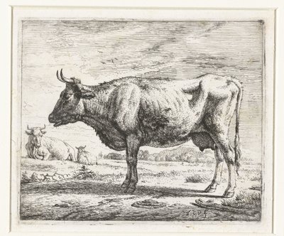 Twee koeien en een schaap door Adriaen van de Velde