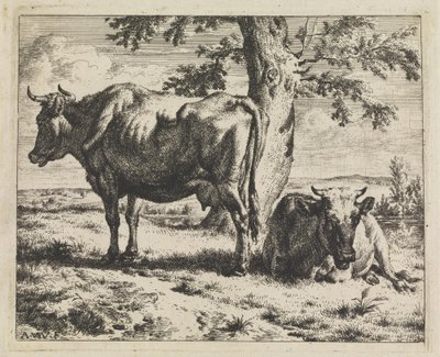 Twee koeien onder een boom door Adriaen van de Velde