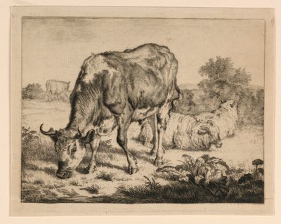 Os en drie schapen door Adrian van de Velde